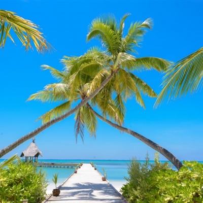 腾讯分分手机app下载