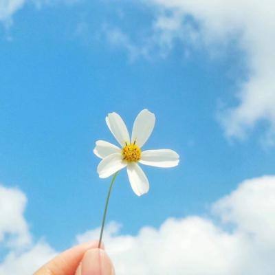 火狐电竞手机app下载