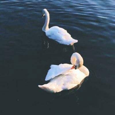 皇冠正规娱乐平台(官方)手机app下载