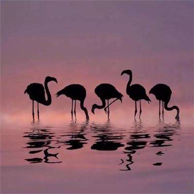 足球滚球的正规平台app下载手机版