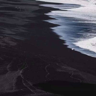 皇家88下载手机版截图